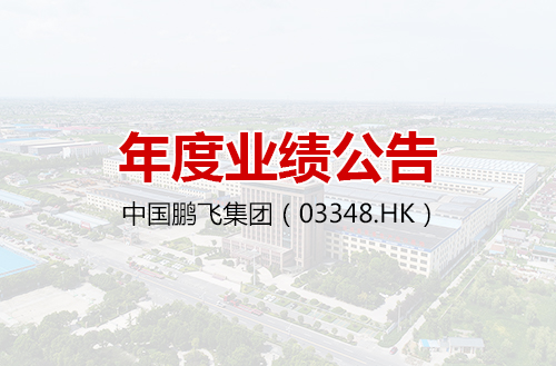 中国鹏飞集团（HK03348）发布年度业绩报告